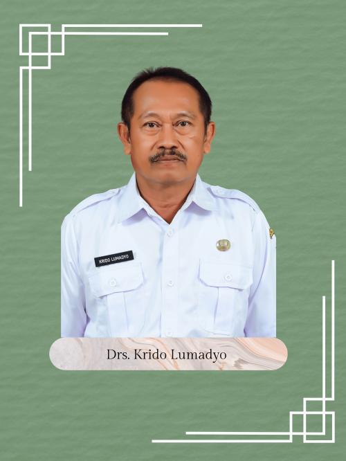 Drs. Krido Lumadyo